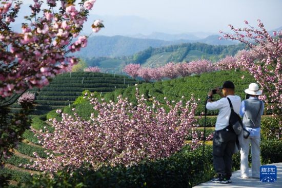 深睡小屋,解决失眠问题 深睡小屋,解决失眠问题